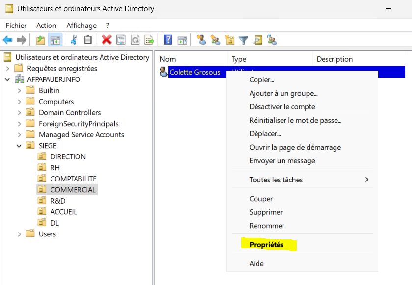 Capture d'écran